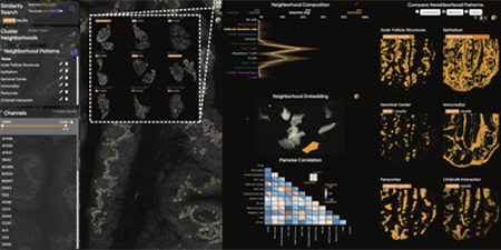 Biomedical Visulization